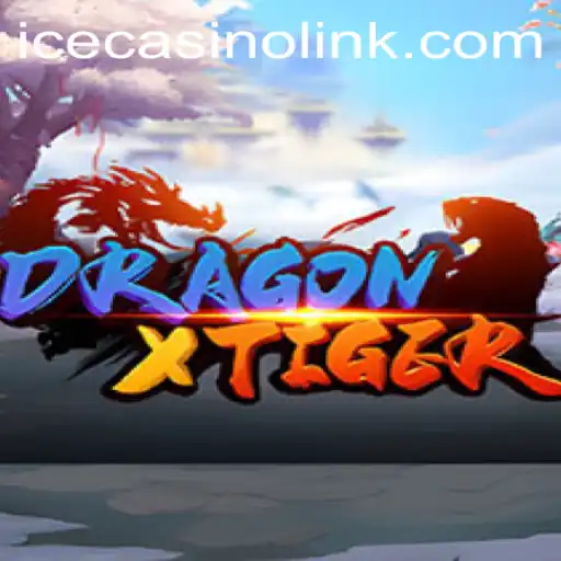 Exploring the Thrills of DragonXTiger in Ice Casino
